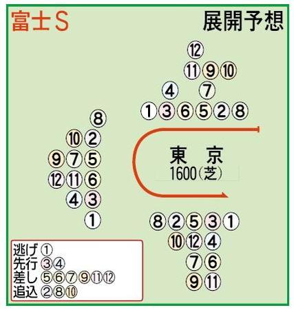 展開予想図