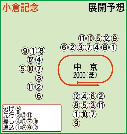 展開予想図