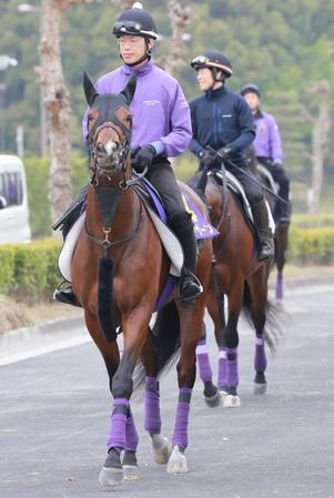 骨折を乗り越えてタイトル奪取を目指すシャザーン