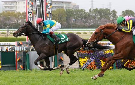 シーズンリッチがダービーで激走するか