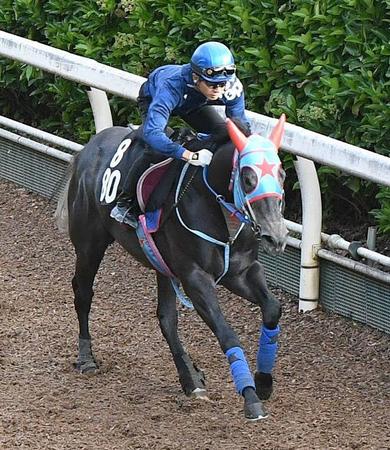 葵Ｓで重賞初制覇を狙うビッグシーザー