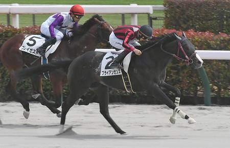 先月に１勝クラスを快勝したブライアンセンス