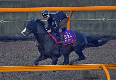 栗東に滞在し慎重に調整中のイクイノックス