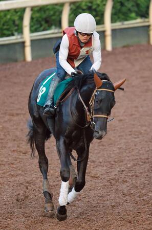 ＧⅠ馬アカイイトを姉に持つエンムスビ