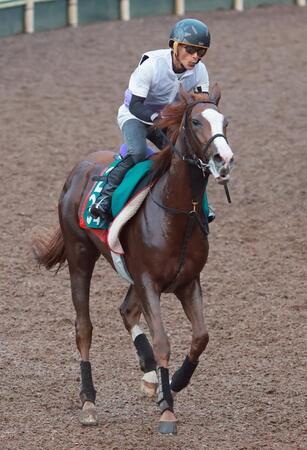 土曜中京５Ｒでデビューするシャドフ