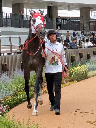 知る人ぞ知る池田厩務員の定年記念Ｔシャツだっ！