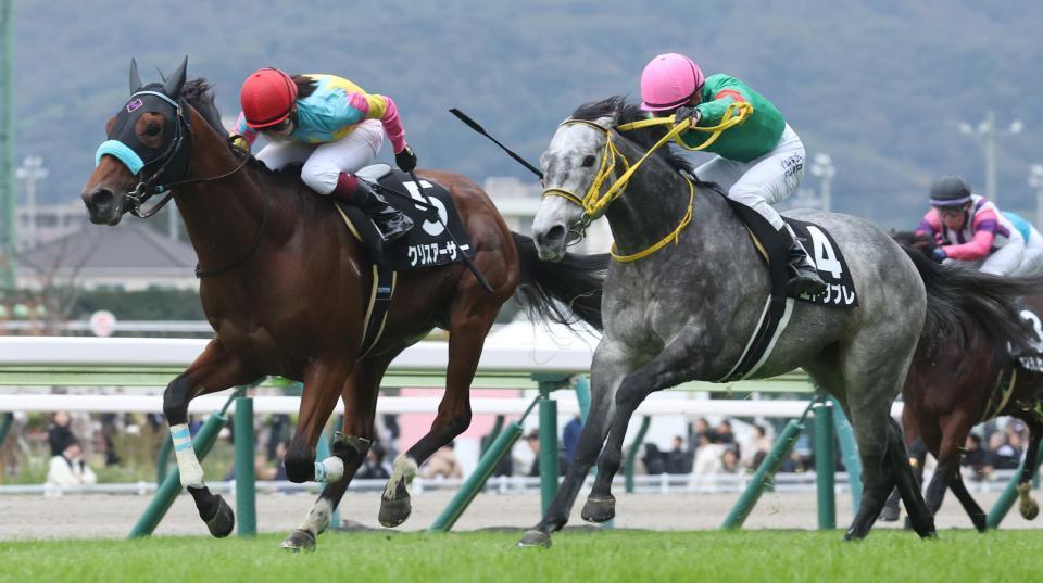 れんぜんあしげ 様様 芦毛馬