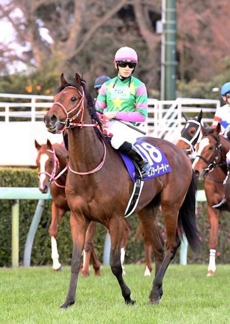 競馬ギガ盛ブログ「個人的・来年のクラシック注目馬」(12月 競馬ギガ盛ブログ「個人的・来年のクラシック注目馬」(12月