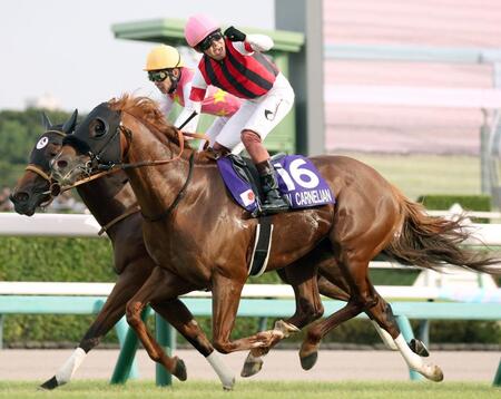 ウインカーネリアン（手前）